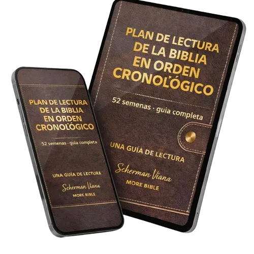 Plan Cronológico